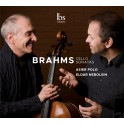 Brahms : Sonates pour violoncelle