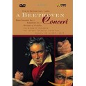 A Beethoven Concert