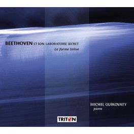 Beethoven et son laboratoire secret : La forme brève