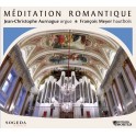 Méditation Romantique / Jean-Christophe Aurnague & François Meyer