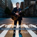 What Comes Next / Peter Bernstein