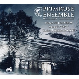 Ensemble à cordes où l'alto est roi / Primrose Ensemble