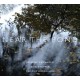 Near The Pond / Josefine Cronholm - Kirk Knuffke