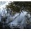 Near The Pond / Josefine Cronholm - Kirk Knuffke
