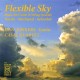Flexible Sky, Musique pour guitare et quatuor à cordes