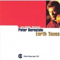 Earth Tones / Peter Bernstein Trio