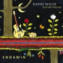 Endawin - Guitar Poetry / David Wildi