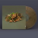 Forest Floor / Fergus McCreadie (Vinyle LP)