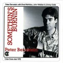 Somethin's Burnin' / Peter Bernstein Quartet