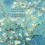 Les Vergers Musicaux / Lux Beata