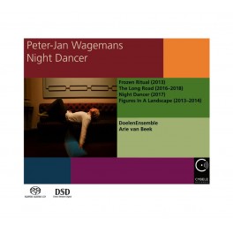 Wagemans, Peter-Jan : Night Dancer