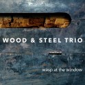 Wasp At The Window / Wood & Steel Trio