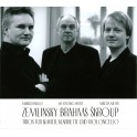 Zemlinsky - Brahms & Skroup : Trios pour piano, clarinette et violoncelle