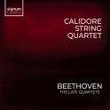 Beethoven : Les Derniers Quatuors / Quatuor Calidore