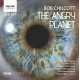 Chilcott, Bob : The Angry Planet