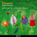 Flowers / Antonio Del Sordo