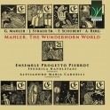 Mahler : The Wunderhorn World