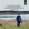 Scandinavian Wood - Paysages nordiques pour clarinette et piano