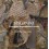 Paganini : European unpublished works