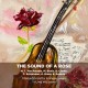 The Sound of a Rose