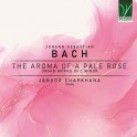 Bach : The Aroma of a Pale Rose - Oeuvres pour orgue en do min