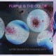 Unbemanntes Raumschiff / Purple is the Color