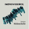 Improvidence / Damien Nédonchelle