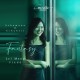 Schumann - Schubert : Fantaisies / Lei Meng