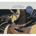 Acoustic Impuls / Andy Gillmann