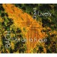 Bach : L'Art de la Fugue / David Lively