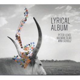 Lyrical Album