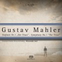 Mahler : Symphonie n°1