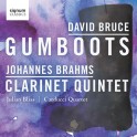 Bruce - Brahms : Gumboots, Quintette avec clarinette