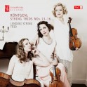 Röntgen : Trios pour cordes Vol.4