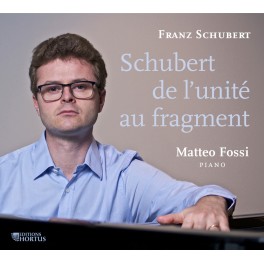 Schubert de l'unité au fragment