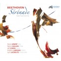 Beethoven : Sérénade & Variations