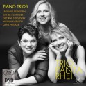 Bernstein, Schnyder, Gershwin & Kapustin : Trios avec piano
