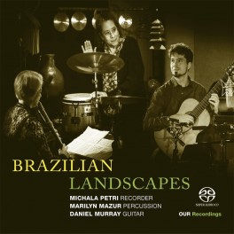 Brazilian Landscapes