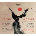 Haydn - Mozart : Oeuvres pour piano