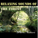 Relaxing Sounds of the Forest - Pure Nature