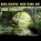 Relaxing Sounds of the Forest - Pure Nature