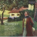 Schubert : Trio avec piano, Arpeggione, Trio à Cordes
