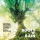 Roots 'n' Rain / Michele Franzini - Roberto Mattei - Rudy Royston