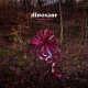 Wonder Trail / Dinosaur (Vinyle LP)
