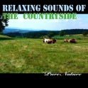 Musique Relaxante de la Campagne - Pure Nature