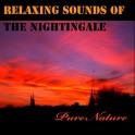 Musique Relaxante avec le Chant du Rossignol - Pure Nature