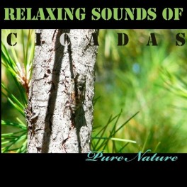 Musique Relaxante avec le Chant des Cigales - Pure Nature