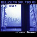 Musique Relaxante avec la Pluie - Pure Nature